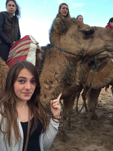 Oh look, it's a camel!